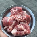센텀역사 | 부산 해운대 재송동고기집 애견동반 가능한 식당 추천 하숙집 센텀본점