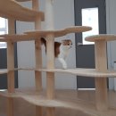 고양이호텔 묘랑묘랑 이미지