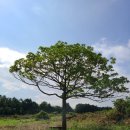 건영목장 이미지