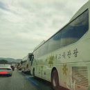 버스전용차로(5) 이미지