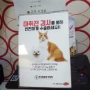 도그플러스 동물병원 이미지