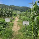 인기농장 이미지