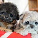 청도메디컬 이미지