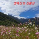 와와공원 이미지