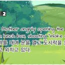 최적 행정사사무소 이미지