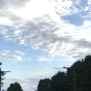 관광시설관리사업소 앞 이미지