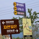 하늘풍차 | 대구 가볼만한곳 군위 화산산성 하늘전망대 풍차전망대 가는길 주차장 팁