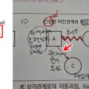 보웬의 가계도 표시 기호 관련 질문드립니다. 이미지