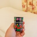 엄지민박 | 헝가리 부다페스트 한인민박 세체니민박 예약 객실 조식 위치