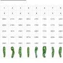 BEST 스크린골프 이미지