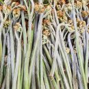 무진장농원 이미지