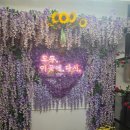 복두꺼비 | [합천 대병] 황매산 전망 좋은 카페 | 카페모이다