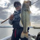 호넷컴퍼니 | JS컴퍼니 로드와 도요릴 장비 교체및 사용기