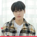 디비하우스 Daum카페