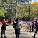 대구광역시 도시관리본부 이미지