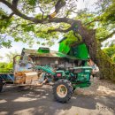 동촌마을회관 이미지