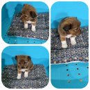 서림세차장 이미지