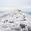 태백산 이미지