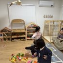제주조우아조수 이미지