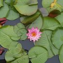 올레 당구클럽 이미지