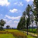 새고향공원 이미지