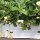 정은농장 이미지