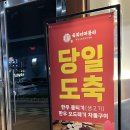 뭉티의 하루 이미지