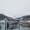 경남 거제시 동백섬 지심도+우제봉-굿개봉-바람의언덕-해금강 코스/2024.2.25.일(1/3) 이미지