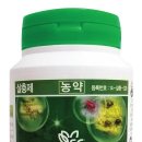 빅스톤