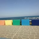 동광로11길 69 | 제주도 2박 3일 자유여행_2023.2.12~2.14 2일차&amp;3일차