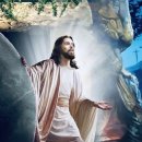 성경/聖経 /Bible - 레위기 - 7장 이미지