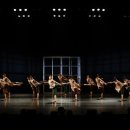 제31회 대구무용제 이미지