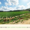 서하농장