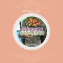 미정이네꽃집 이미지