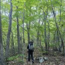 설악산(2026,10.9~10.11)(음지백판골-황철남봉-저항령-걸레봉-마등봉-반야대) 이미지