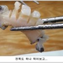 백운수산 Daum카페