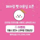 헤아림 동물병원 | [육견일기] 다시 곰돌이가 된 포도 / 거제 아주동 헤아림펫 강아지미용 후기