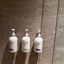 도브(Dove)호텔 이미지