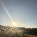 임당근린공원 이미지