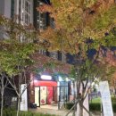 오부자로14 이미지