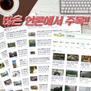 셀로라