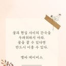 드림스컴트루