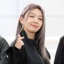 다미 이미지