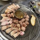 ㈜난드르 | [제주]모슬포항 근처 방문할 곳(운진항/가파도결항/산방산/오설록티뮤지엄/난드르)