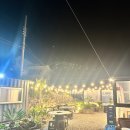 171 카페펜션 | [ 국내여행 / 제주도 ] 구황작물커플의 제주도 서쪽 2박3일 여행후기 (1)