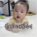 애드뱅크광고 - 사하구 괴정로 135 | 블로그 시작 2개월, 방문자 300~600명대 애드포스트 수익 공개 (6월 결산)