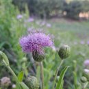 한림정역 이미지