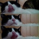 탑top노래연습장 이미지