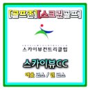 스카이뷰컨트리클럽 | 코스/그린 난이도 별5개 골프존 스크린골프 어려운맵 인기맵 스카이뷰cc