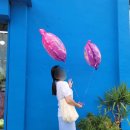 캐치티니핑 구미풍선맛집 구미파티샵 풍선아트 하늘이벤트 이미지